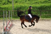 CSO interne du Dimanche 14 Avril 2024