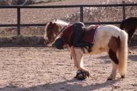 Horse-ball du 24 Février 2019 au Centre Equestre de Maurecourt