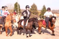 Horse-ball du 24 Février 2019 au Centre Equestre de Maurecourt