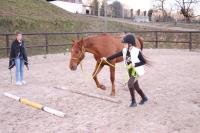 Examen Travail à Pied Galop 3 et Galop 4 du 24 Février 2019 au CEM!