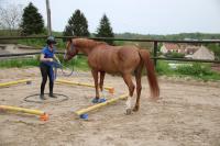 Equifeel du 01/05/2024 au Centre Equestre de Maurecourt (78/95)
