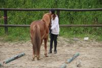 Equifeel du 01/05/2024 au Centre Equestre de Maurecourt (78/95)