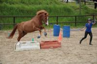 Equifeel du 01/05/2024 au Centre Equestre de Maurecourt (78/95)