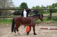 Equifeel du 01/05/2024 au Centre Equestre de Maurecourt (78/95)