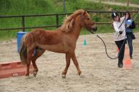 Equifeel du 01/05/2024 au Centre Equestre de Maurecourt (78/95)