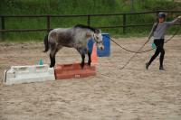 Equifeel du 01/05/2024 au Centre Equestre de Maurecourt (78/95)