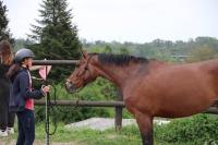 Equifeel du 01/05/2024 au Centre Equestre de Maurecourt (78/95)