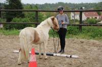 Equifeel du 01/05/2024 au Centre Equestre de Maurecourt (78/95)