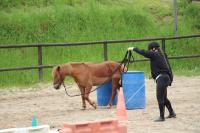 Equifeel du 01/05/2024 au Centre Equestre de Maurecourt (78/95)