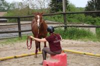 Equifeel du 01/05/2024 au Centre Equestre de Maurecourt (78/95)