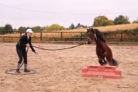 7 Octobre 2018 : Concours officiel équifeel au Centre équestre de Maurecourt!