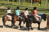 Récupérations des cours poneys et chevaux post-covid au CEM