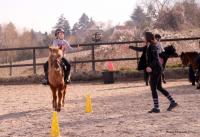 Horse-ball du 24 Février 2019 au Centre Equestre de Maurecourt