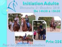 21 Octobre 2018 : Perfectionnement Dressage 5-6-7/ Initiation Adulte