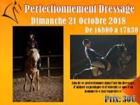 21 Octobre 2018 : Perfectionnement Dressage 5-6-7/ Initiation Adulte
