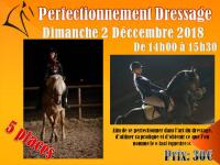 Perfectionnement dressage/ Travail en longe et longues rênes Dimanche 2 décembre.