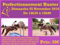 25 Novembre 2018 : Perfectionnement Hunter/ Horse-ball