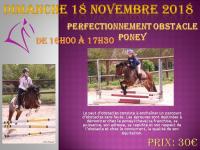 18 Novembre 2018 : Initiation éthologique / Perfectionnement obstacle poney / CSO Vernouillet