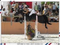 Championnat  de France CSO et Equifeel à l'Open de France Lamotte-Beuvron (41)