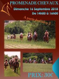 16 Septembre 2018 : Promenade chevaux 2h/ Promenade poney 1h30