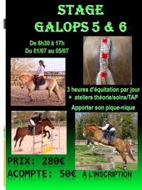 Stage Galop 5 & 6 au centre équestre de Maurecourt (78)