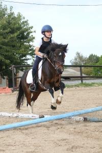 Perfectionnement obstacle poney du 19 Septembre 2021 au CEM