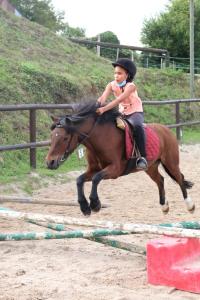 Perfectionnement obstacle poney du 19 Septembre 2021 au CEM