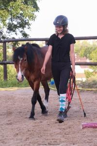 Récupérations des cours poneys et chevaux post-covid au CEM