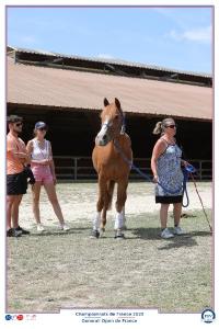 Lamotte 2023, Les Championnats de France d'équitation!