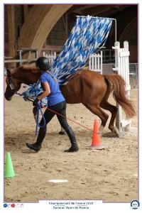 Lamotte 2023, Les Championnats de France d'équitation!