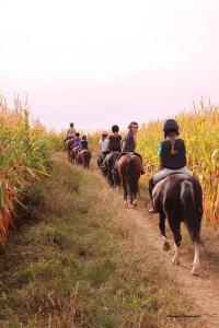 Promenade Poney du 16 Septembre 2018 au Centre équestre de Maurecourt