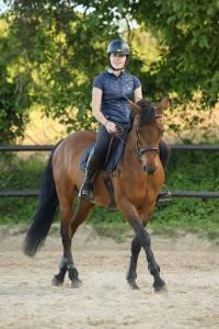 Récupérations des cours poneys et chevaux post-covid au CEM