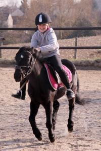 Horse-ball du 24 Février 2019 au Centre Equestre de Maurecourt