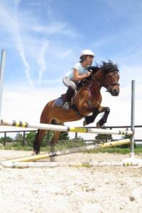 Récupérations des cours poneys et chevaux post-covid au CEM