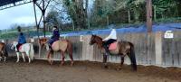 Initiation adulte du 9 Janvier 2022 au Centre Equestre de Maurecourt