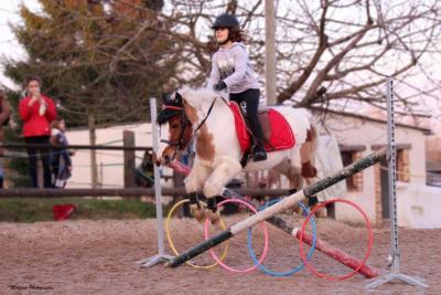 maitrise du poney  Maurecourt