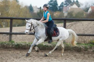 diplôme équitation Maurecourt