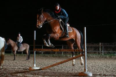 maitrise du cheval  Maurecourt