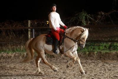 galops cheval  Maurecourt